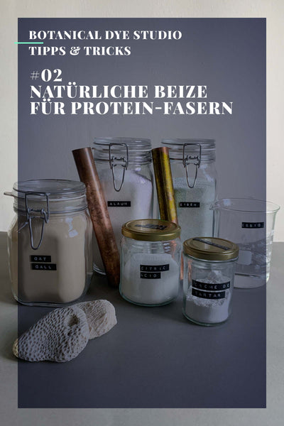 Botanical Dye Studio #02: Beize für Protein-Fasern